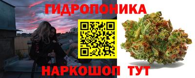 соль ск Будённовск