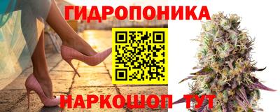 соль ск Будённовск